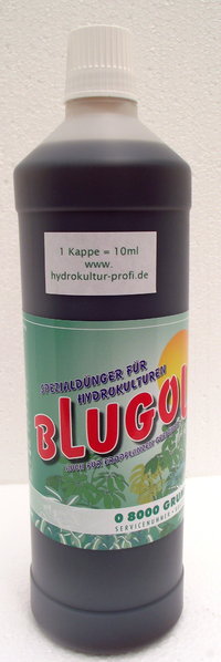 Blugol Hydro 1000ml flüssig **2 Stück**